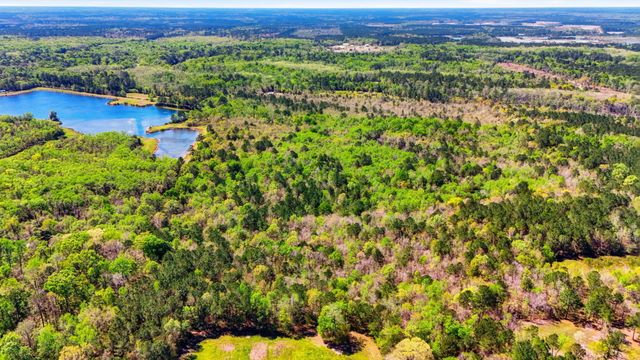 0 Old Beech Hill Road, Ridgeville, SC 29472