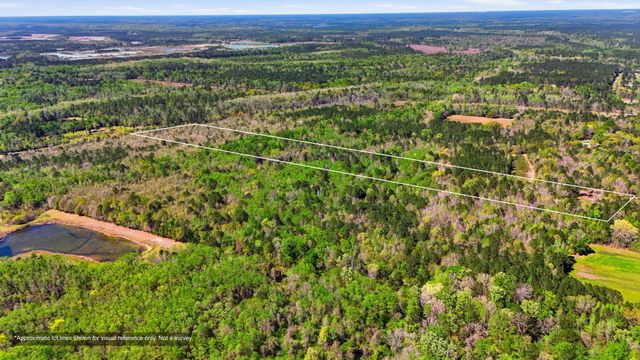 0 Old Beech Hill Road, Ridgeville, SC 29472