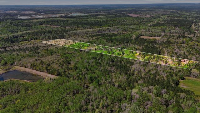 0 Old Beech Hill Road, Ridgeville, SC 29472