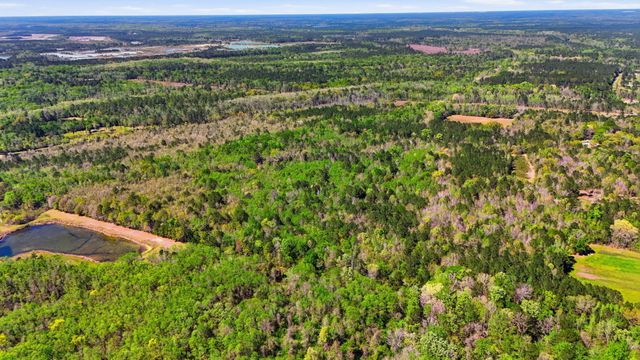 0 Old Beech Hill Road, Ridgeville, SC 29472