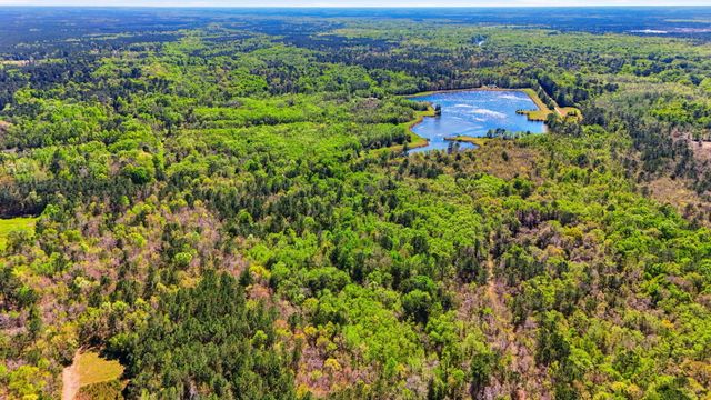 0 Old Beech Hill Road, Ridgeville, SC 29472