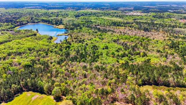 0 Old Beech Hill Road, Ridgeville, SC 29472