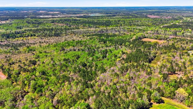 0 Old Beech Hill Road, Ridgeville, SC 29472