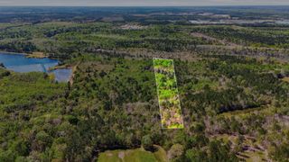 0 Old Beech Hill Road, Ridgeville, SC 29472