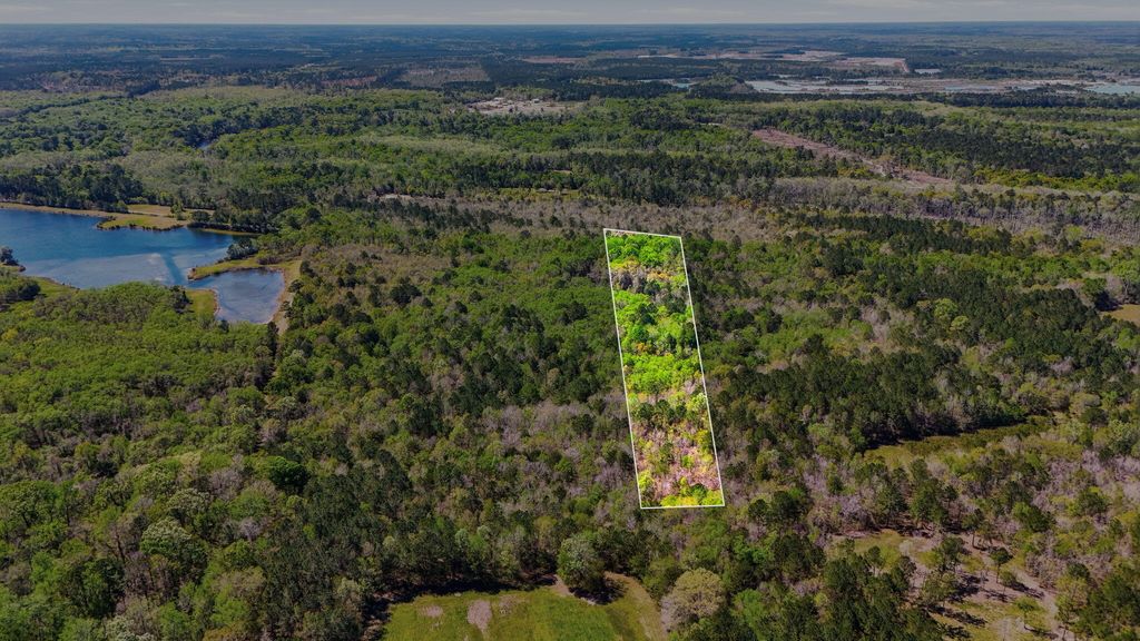 0 Old Beech Hill Road, Ridgeville, SC 29472