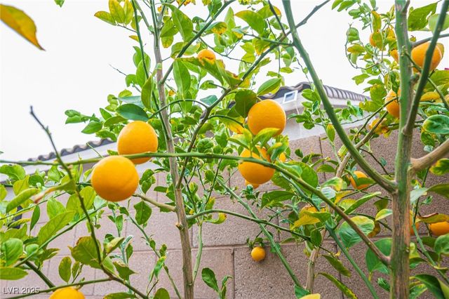 3912 Grazing Gazelle Avenue, North Las Vegas, NV 89084