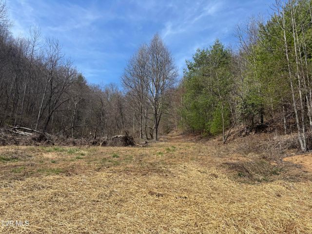 202 Greer Branch Road, Laurel Bloomery, TN 37680