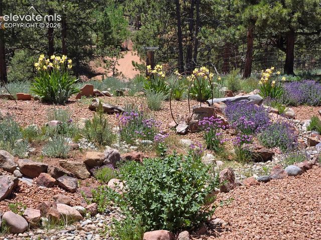 693 Black Mesa Circle, Florissant, CO 80816