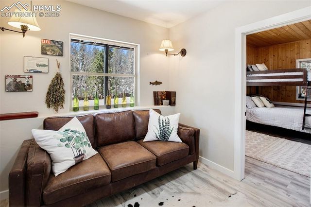 403 Pioneer Creek Drive, Florissant, CO 80816