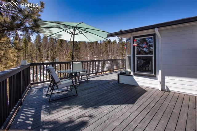 403 Pioneer Creek Drive, Florissant, CO 80816