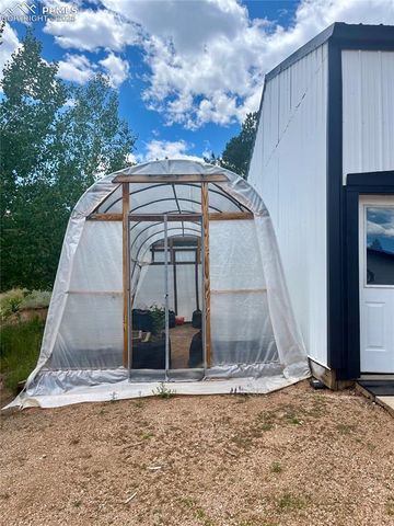 403 Pioneer Creek Drive, Florissant, CO 80816