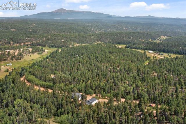 403 Pioneer Creek Drive, Florissant, CO 80816