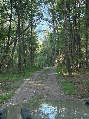 711 Pleasant Valley Road, Adairsville, GA 30103