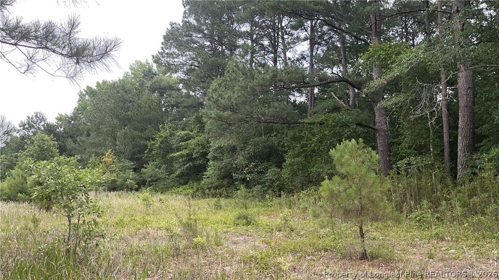 Sanderosa (0477-88-1702) Road, Fayetteville, NC 28312 — photo 2