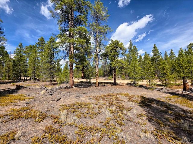 322 Fir Dr, Twin Lakes, CO 81251