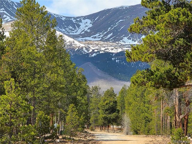 322 Fir Dr, Twin Lakes, CO 81251