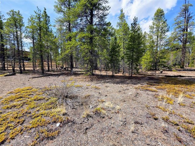 322 Fir Dr, Twin Lakes, CO 81251
