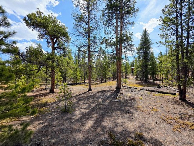 322 Fir Dr, Twin Lakes, CO 81251