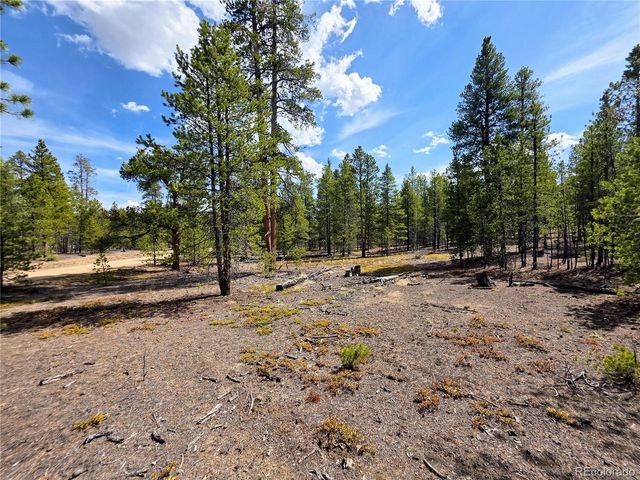 322 Fir Dr, Twin Lakes, CO 81251