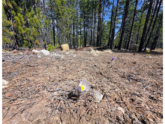 322 Fir Dr, Twin Lakes, CO 81251