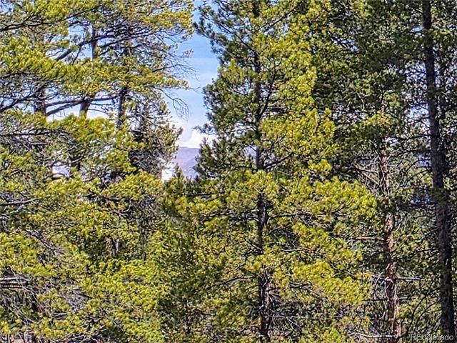 322 Fir Dr, Twin Lakes, CO 81251