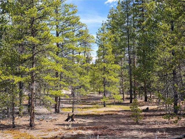 322 Fir Dr, Twin Lakes, CO 81251