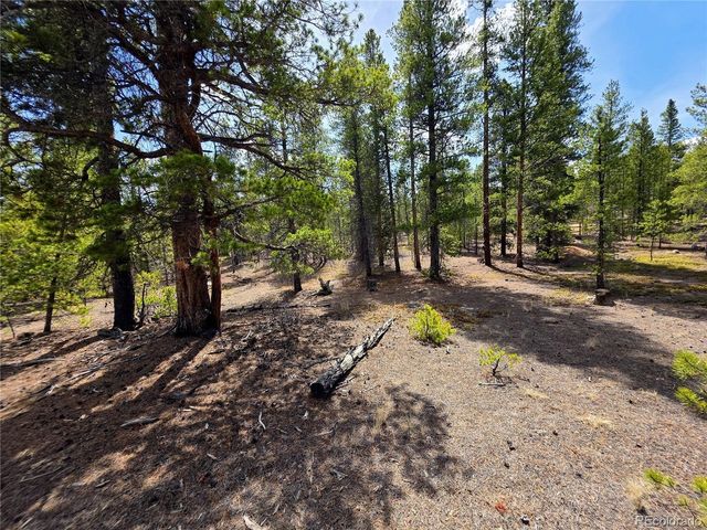 322 Fir Dr, Twin Lakes, CO 81251
