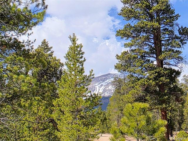 322 Fir Dr, Twin Lakes, CO 81251