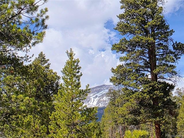 322 Fir Dr, Twin Lakes, CO 81251
