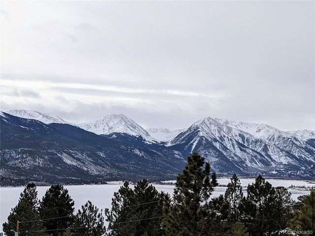 322 Fir Dr, Twin Lakes, CO 81251