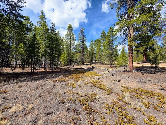 322 Fir Dr, Twin Lakes, CO 81251
