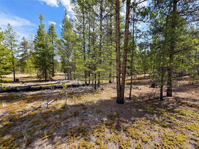322 Fir Dr, Twin Lakes, CO 81251