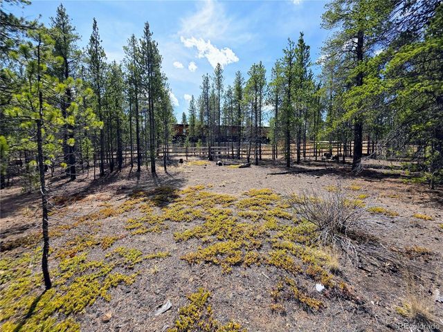 322 Fir Dr, Twin Lakes, CO 81251