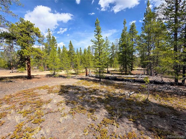 322 Fir Dr, Twin Lakes, CO 81251