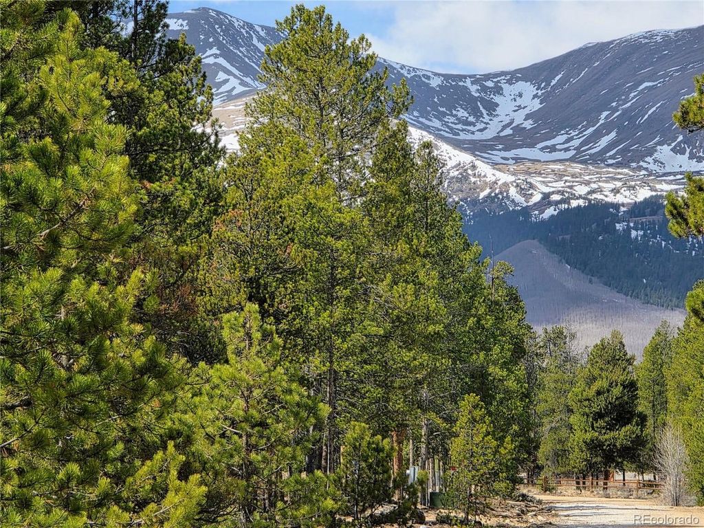 322 Fir Dr, Twin Lakes, CO 81251