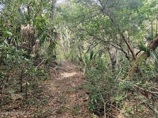 35 Dowitcher Trail, Bald Head Island, NC 28461