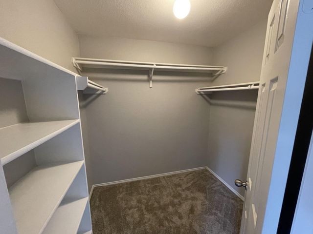 11816 Gaelic DR, Austin, TX 78754