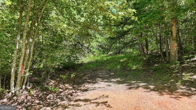 201 Spookhaven Lane, Clarkesville, GA 30523
