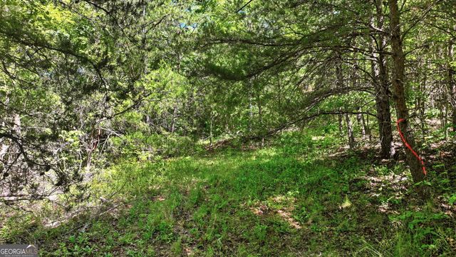 201 Spookhaven Lane, Clarkesville, GA 30523
