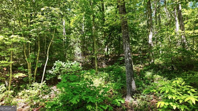 201 Spookhaven Lane, Clarkesville, GA 30523