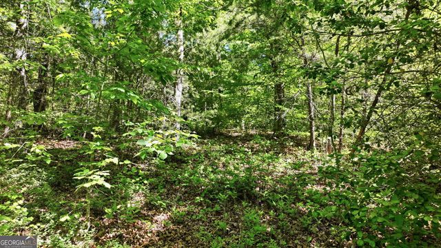 201 Spookhaven Lane, Clarkesville, GA 30523