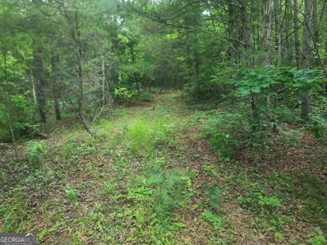 201 Spookhaven Lane, Clarkesville, GA 30523