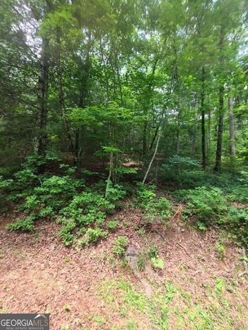 201 Spookhaven Lane, Clarkesville, GA 30523