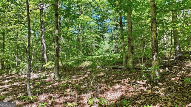201 Spookhaven Lane, Clarkesville, GA 30523