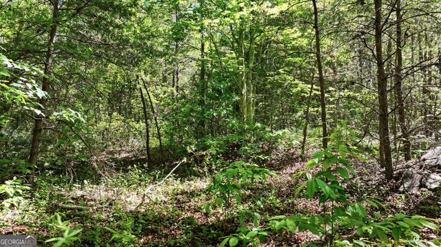201 Spookhaven Lane, Clarkesville, GA 30523