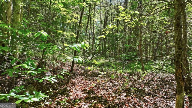 201 Spookhaven Lane, Clarkesville, GA 30523