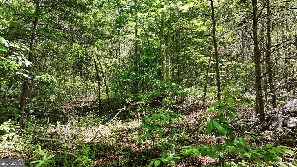 201 Spookhaven Lane, Clarkesville, GA 30523 — photo 3