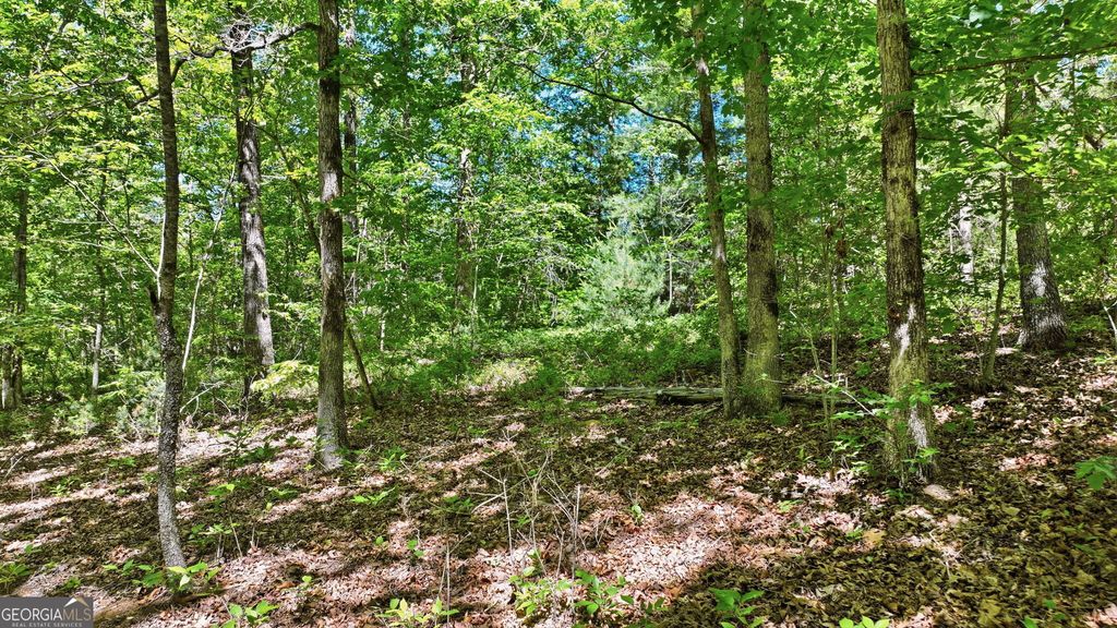 201 Spookhaven Lane, Clarkesville, GA 30523 — photo 5