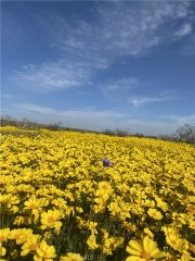 0 Vacant Land, Mojave, CA 93501