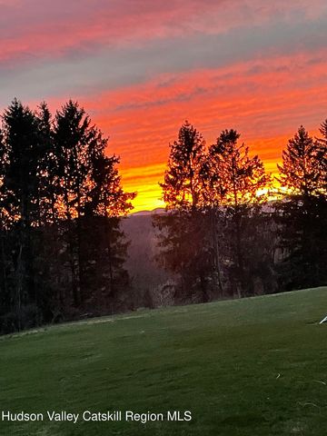 2727 County Route 8, Elizaville, NY 12523